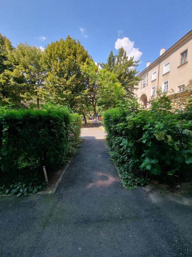 Ultra-Central 1 Bed Apartment, Str Nicolae Iorga 바이아마레 외부 사진